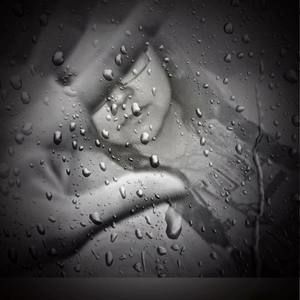 Meet your Posher, Serena